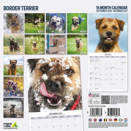 Magnet & Steel Border Terrier Kalender 2027