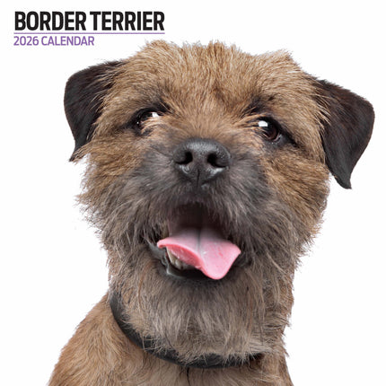 Magnet & Steel Border Terrier Modern Kalender 2026