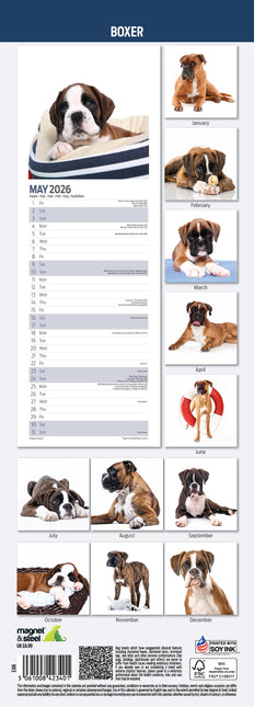 Magnet & Steel Boxer Kalender 2026 Slimline