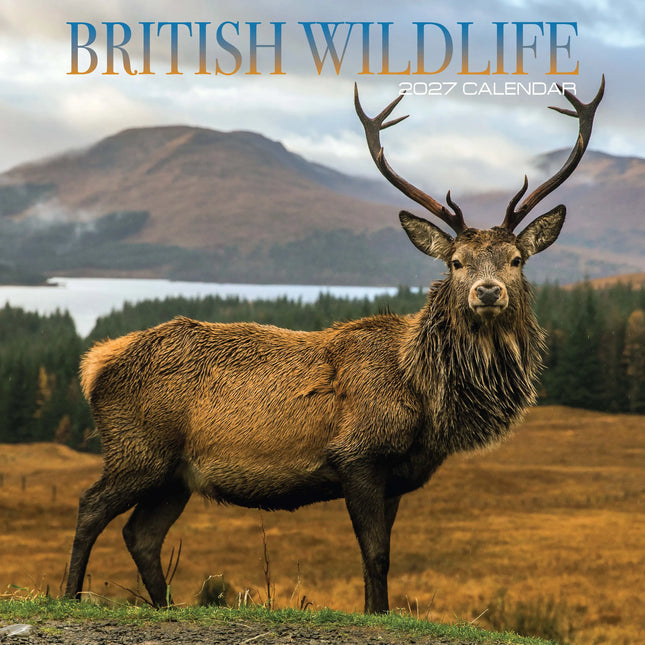 Magnet & Steel British Wildlife Kalender 2027