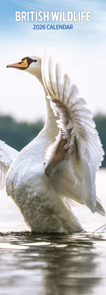 Magnet & Steel British Wildlife Kalender 2027 Slimline