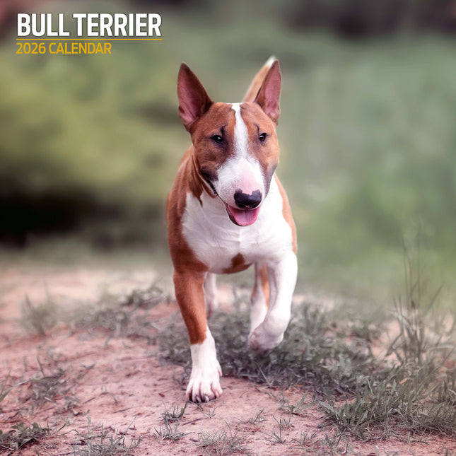 Magnet & Steel Bull Terrier Kalender 2026
