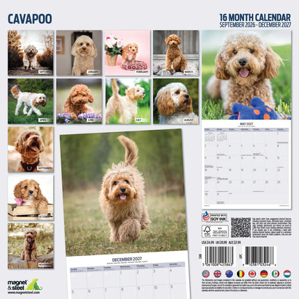 Magnet & Steel Cavapoo Kalender 2027