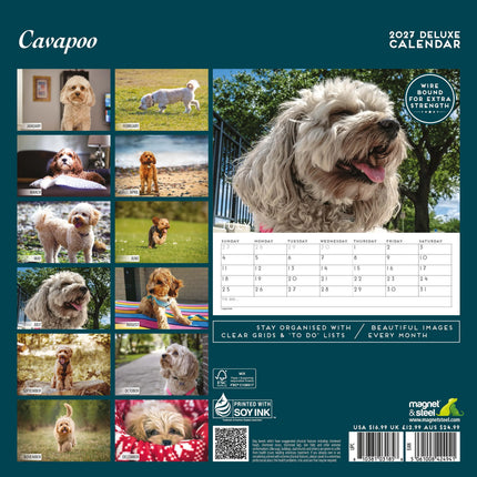 Magnet & Steel Cavapoo Kalender 2027 Deluxe