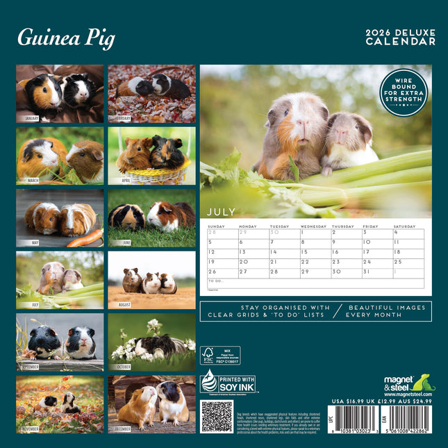 Magnet & Steel Cavia Kalender 2026 Deluxe