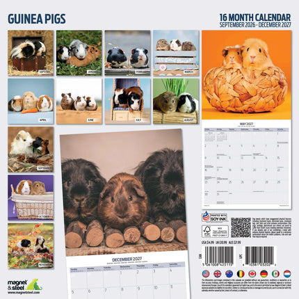 Magnet & Steel Cavia Kalender 2027