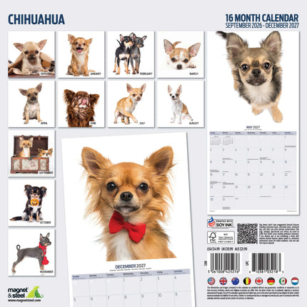 Magnet & Steel Chihuahua Modern Kalender 2027