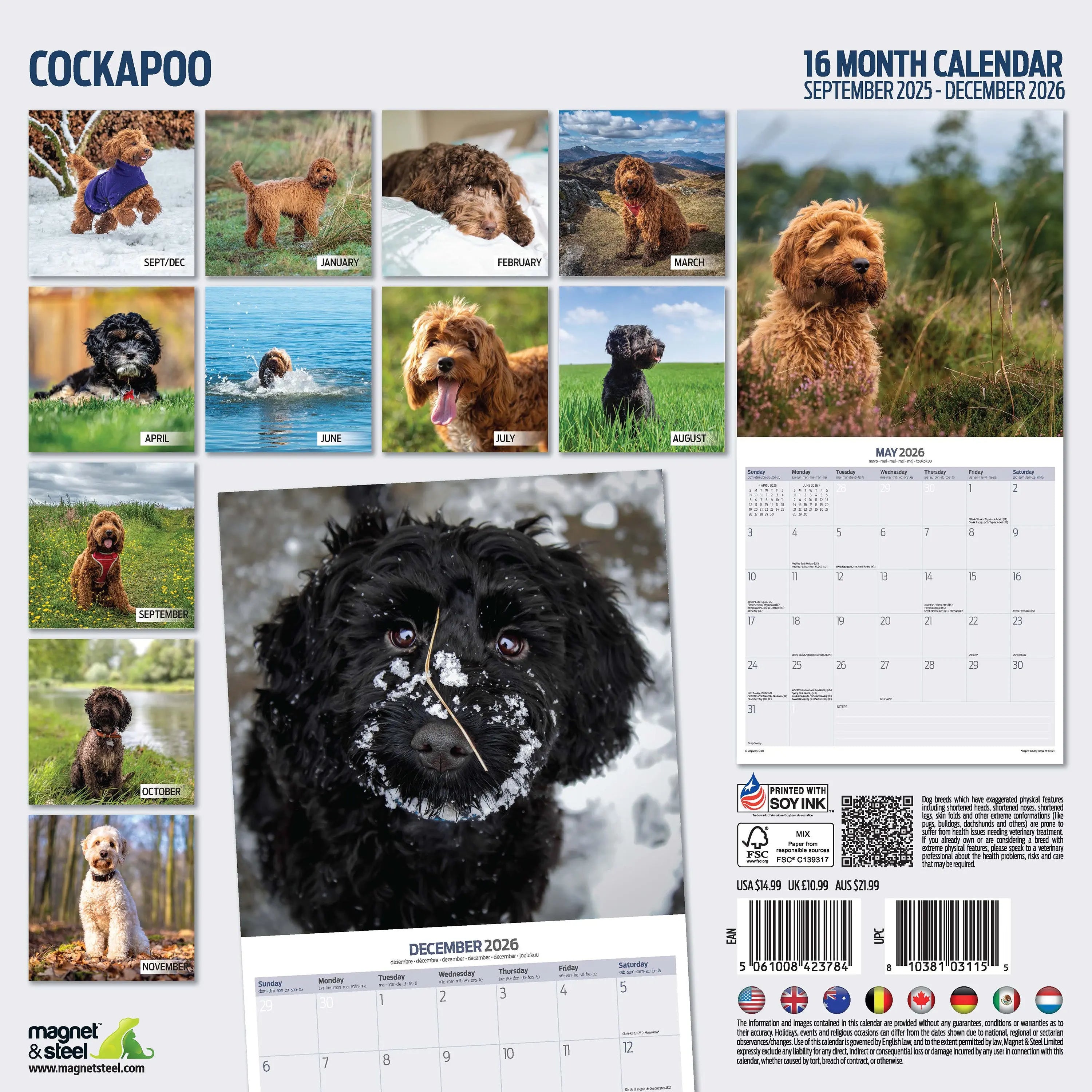Next Cockapoo Clock Buy Cockapoo Calendar 2025 | Order easily online