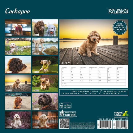 Magnet & Steel Cockapoo Kalender 2026 Deluxe