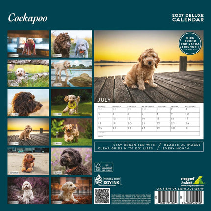 Magnet & Steel Cockapoo Kalender 2027 Deluxe