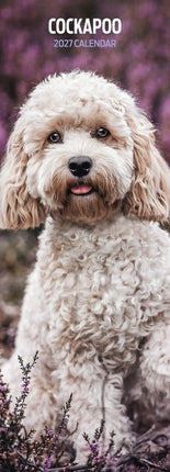 Magnet & Steel Cockapoo Kalender 2027 Slimline