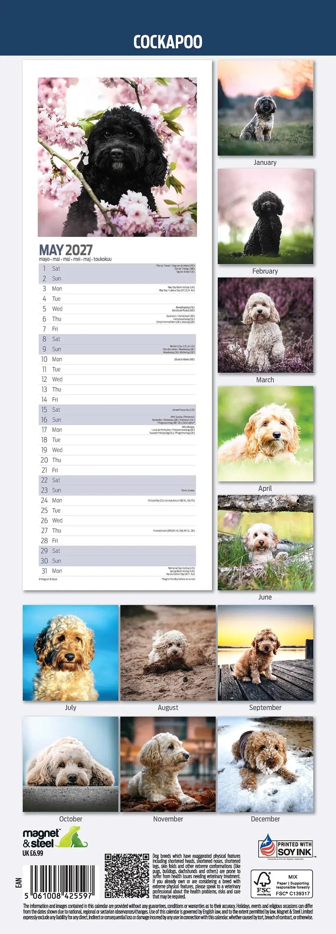 Next Cockapoo Clock ¿Comprar Calendario Cockapoo 2027 Slimline? Compra en línea