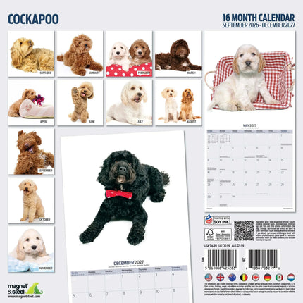 Magnet & Steel Cockapoo Modern Kalender 2027