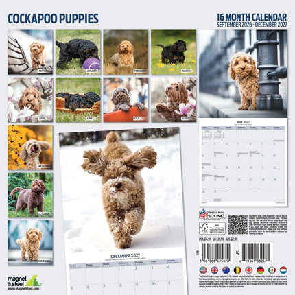 Magnet & Steel Cockapoo Puppies Kalender 2026