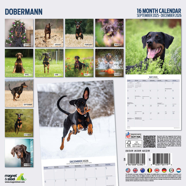 Magnet & Steel Dobermann Kalender 2026