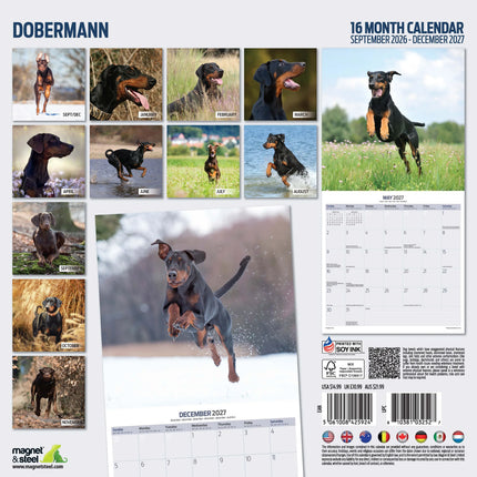 Magnet & Steel Dobermann Kalender 2027