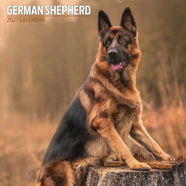 Magnet & Steel Duitse Herder Kalender 2027