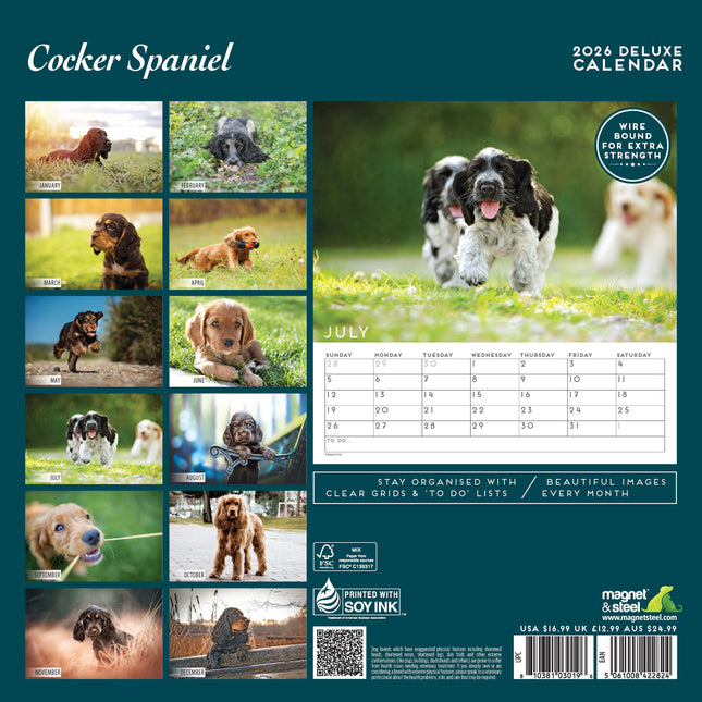 Magnet & Steel Engelse Cocker Spaniel Kalender 2026 Deluxe