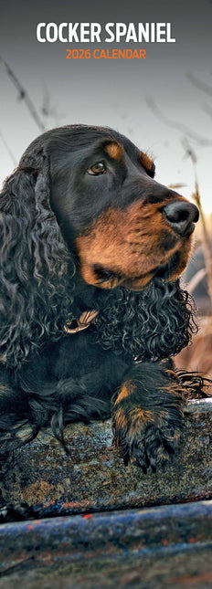 Magnet & Steel Engelse Cocker Spaniel Kalender 2026 Slimline