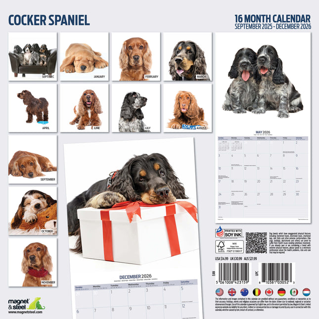 Magnet & Steel Engelse Cocker Spaniel Modern Kalender 2026