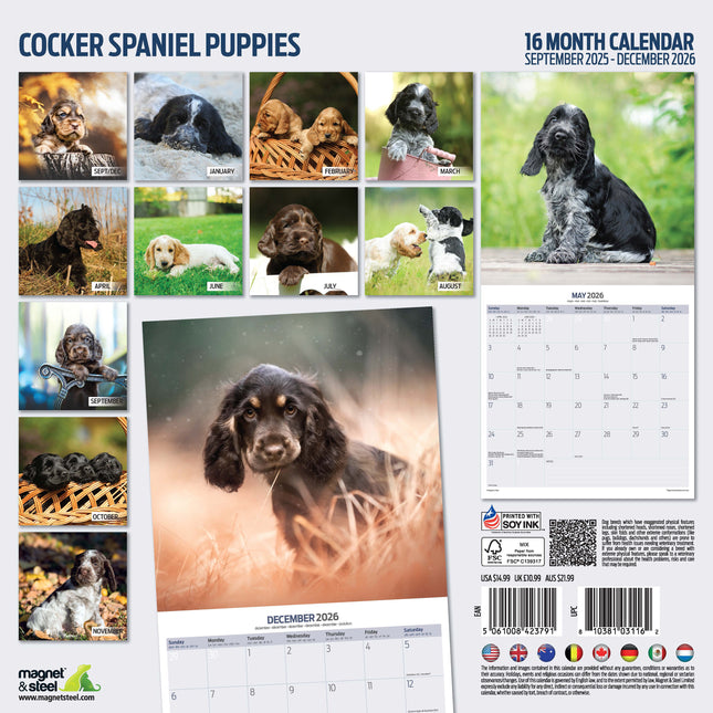 Magnet & Steel Engelse Cocker Spaniel Puppies Kalender 2026