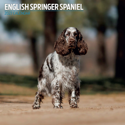 Magnet & Steel Engelse Springer Spaniel Kalender 2027