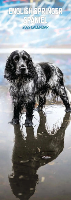 Magnet & Steel Engelse Springer Spaniel Kalender 2027 Slimline