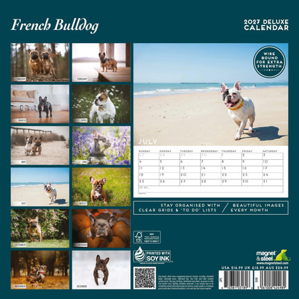 Magnet & Steel Franse Bulldog Kalender 2027 Deluxe