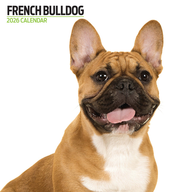 Magnet & Steel Franse Bulldog Modern Kalender 2026