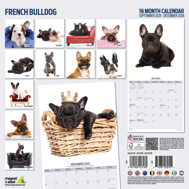 Magnet & Steel Franse Bulldog Modern Kalender 2026