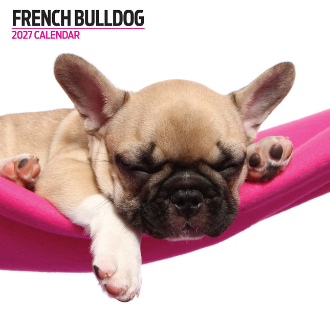 Magnet & Steel Franse Bulldog Modern Kalender 2027