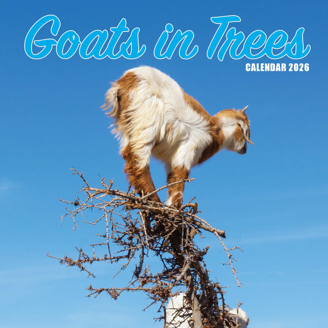 Magnet & Steel Goats in Trees Kalender 2026