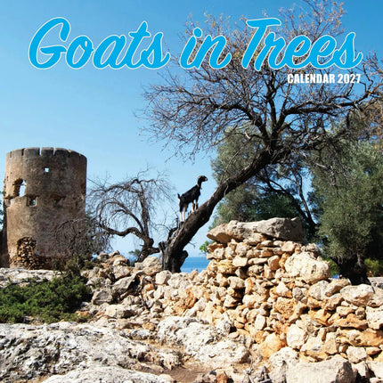 Magnet & Steel Goats in Trees Kalender 2027