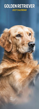 Magnet & Steel Golden Retriever Kalender 2026 Slimline
