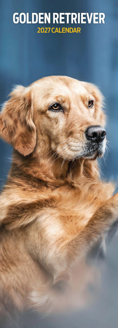 Magnet & Steel Golden Retriever Kalender 2026 Slimline