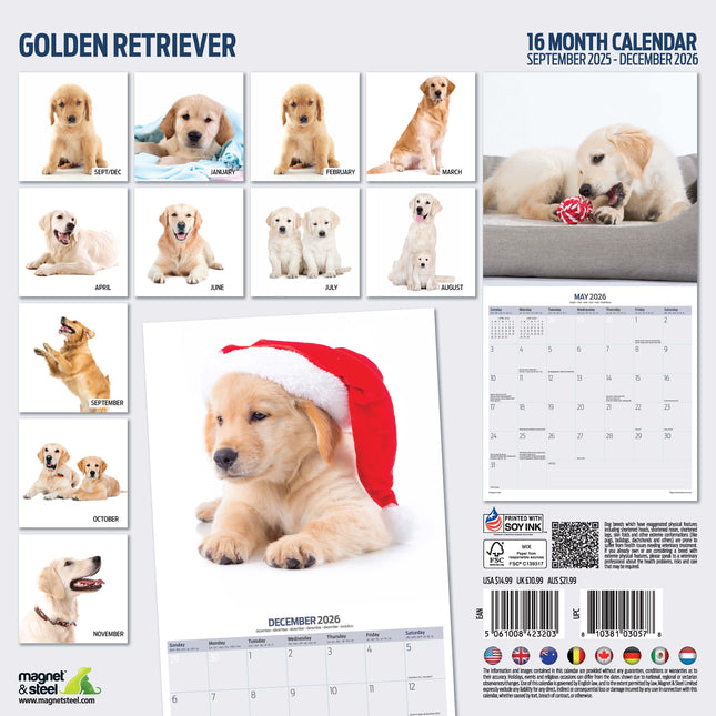 Magnet & Steel Golden Retriever Modern Kalender 2026