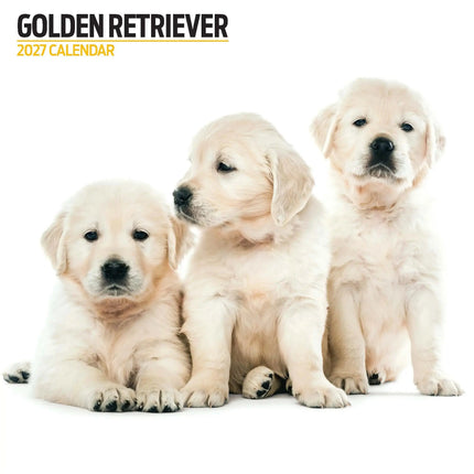 Magnet & Steel Golden Retriever Modern Kalender 2027