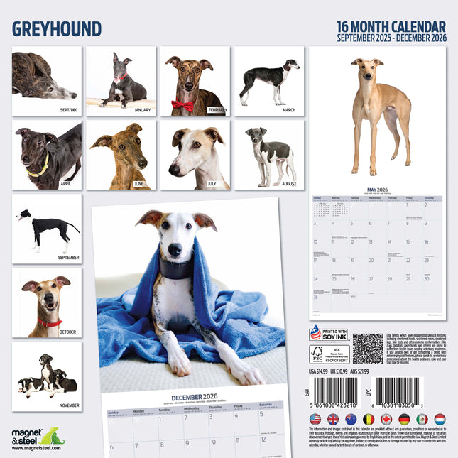 Magnet & Steel Greyhound Modern Kalender 2026