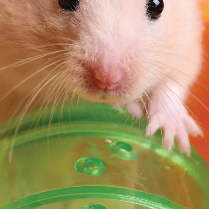 Magnet & Steel Hamster Kalender 2026 Slimline