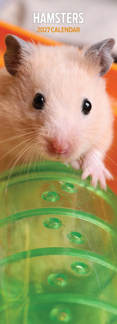 Magnet & Steel Hamster Kalender 2026 Slimline