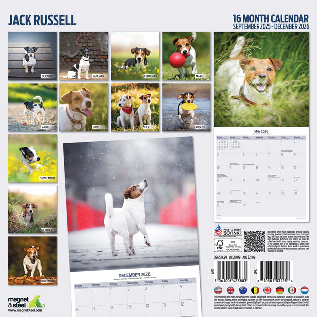 Magnet & Steel Jack Russell Terrier Kalender 2026