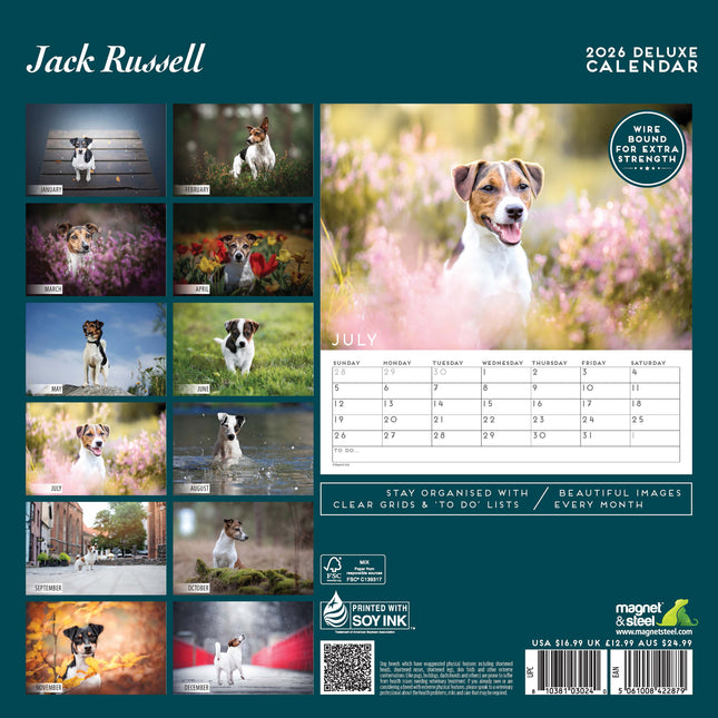 Magnet & Steel Jack Russell Terrier Kalender 2026 Deluxe
