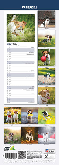 Magnet & Steel Jack Russell Terrier Kalender 2026 Slimline