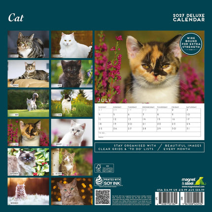 Magnet & Steel Katten Kalender 2027 Deluxe