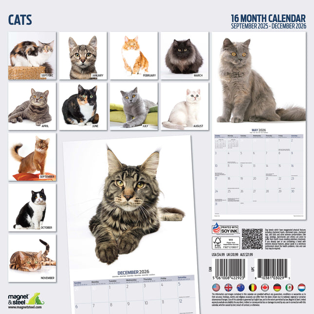 Magnet & Steel Katten Modern Kalender 2026