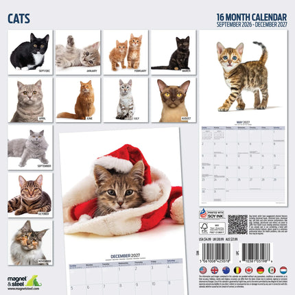 Magnet & Steel Katten Modern Kalender 2026