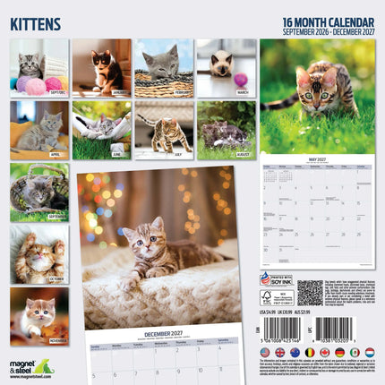 Magnet & Steel Kittens Kalender 2027