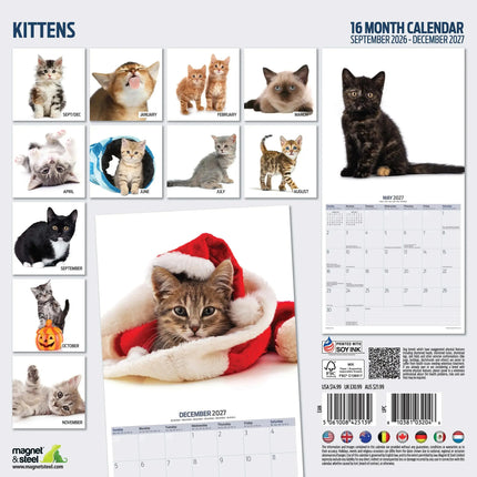 Magnet & Steel Kittens Modern Kalender 2027