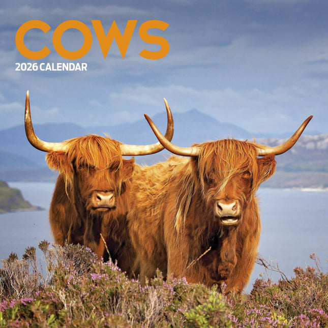 Magnet & Steel Koeien Kalender 2026