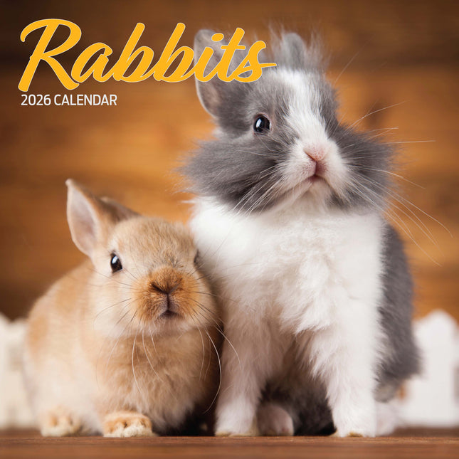 Magnet & Steel Konijnen Kalender 2026